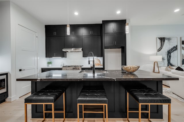 kitchen with a sink, backsplash, under cabinet range hood, light wood-style floors, and dark cabinets