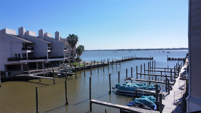 dock area with a water view