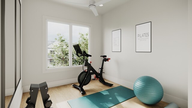 workout area with wood-type flooring and ceiling fan