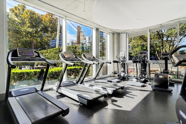 gym featuring floor to ceiling windows