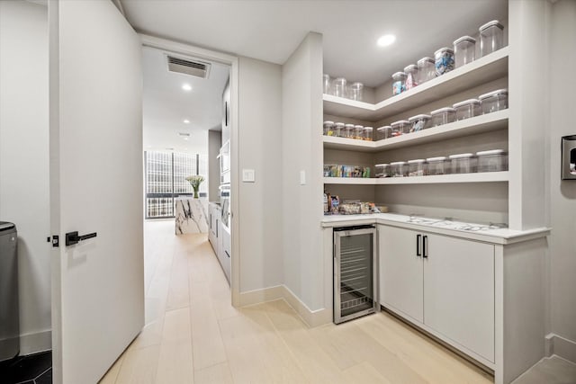 pantry with beverage cooler