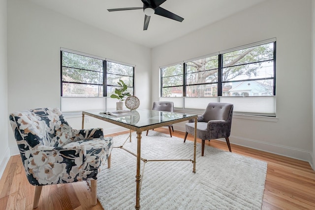 home office featuring light hardwood / wood-style floors and ceiling fan