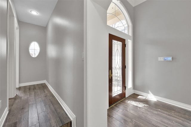 foyer entrance featuring hardwood / wood-style flooring, a wealth of natural light, and a towering ceiling