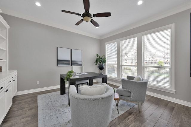 office featuring ceiling fan, ornamental molding, and dark hardwood / wood-style flooring