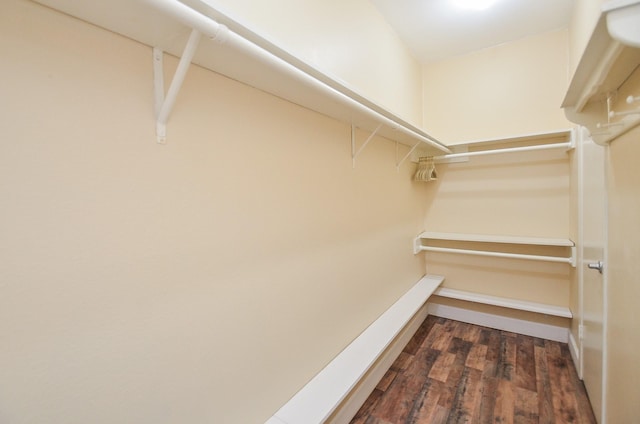 walk in closet featuring dark wood-type flooring