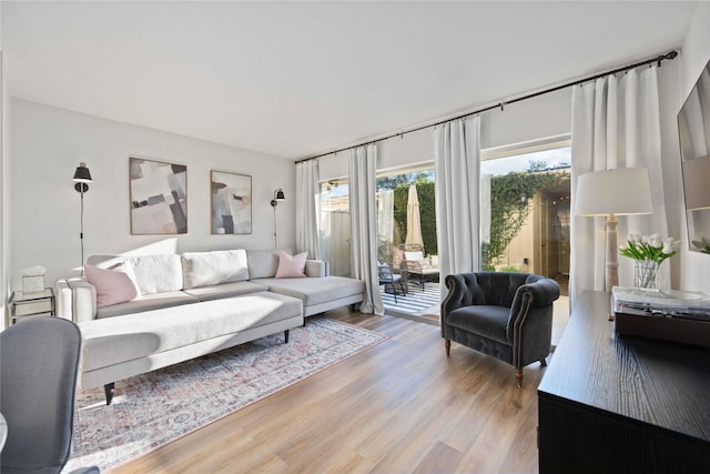 living room with light wood-type flooring