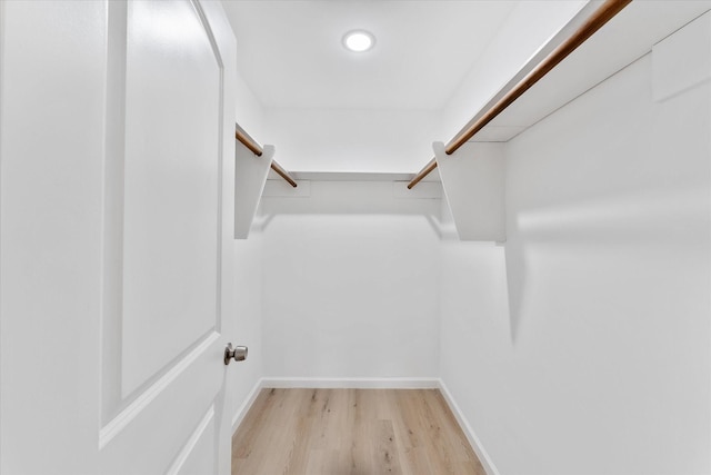 spacious closet featuring light wood-type flooring