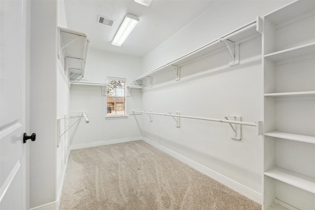 walk in closet featuring light colored carpet