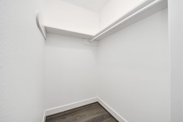 spacious closet with hardwood / wood-style flooring