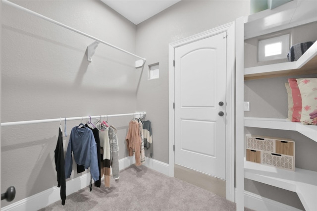 spacious closet featuring carpet floors