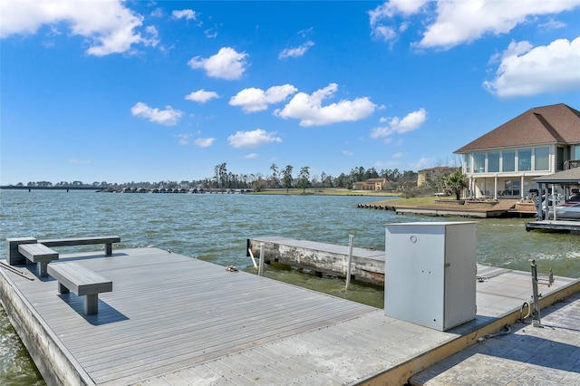 dock area with a water view