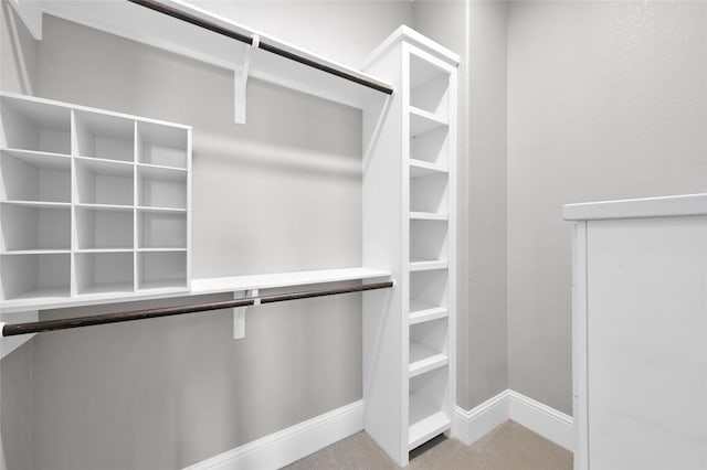 16434 Clear Water Cir, Montgomery, TX 77356 - walk in closet with carpet