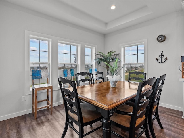 dining area with a tray ceiling and dark wood-type flooring