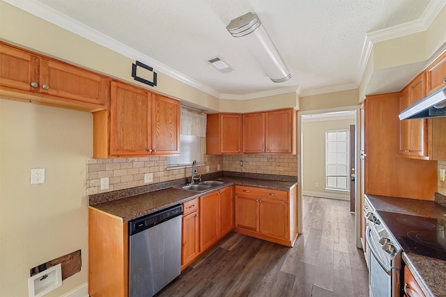 kitchen featuring dark wood-type flooring, sink, tasteful backsplash, appliances with stainless steel finishes, and range hood