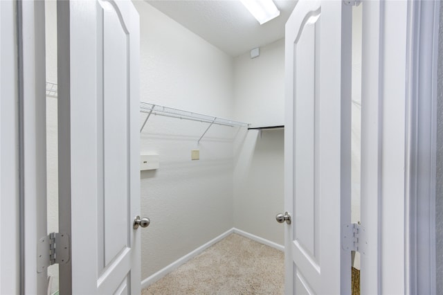 clothes washing area with carpet floors