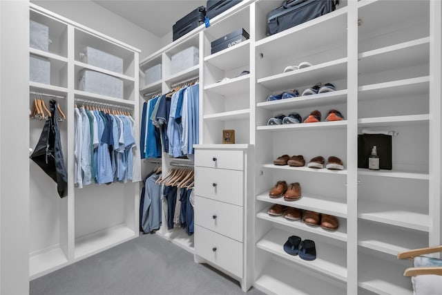 walk in closet featuring carpet flooring