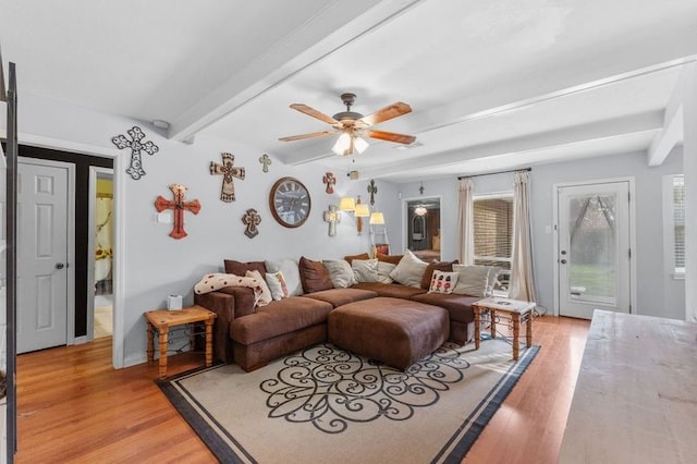 living room with beamed ceiling, ceiling fan, and light hardwood / wood-style flooring