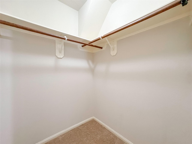 walk in closet featuring carpet floors