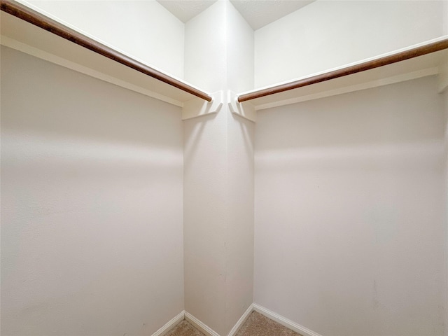 spacious closet featuring carpet flooring