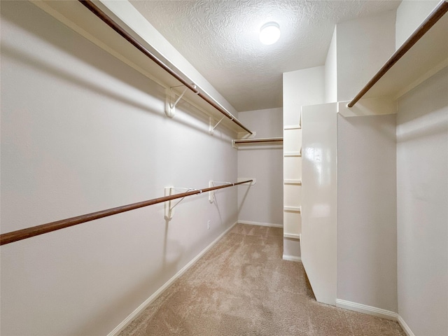 walk in closet with light carpet