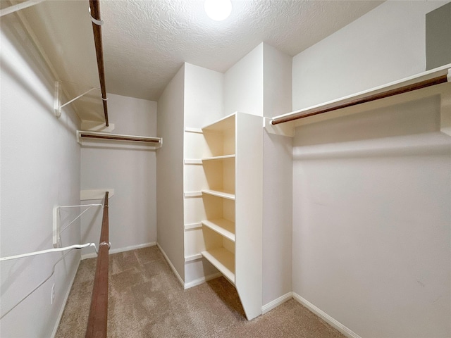 walk in closet with carpet flooring