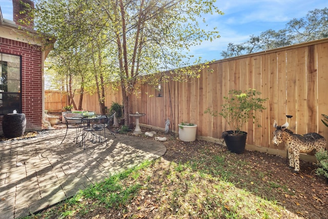 view of yard with a patio and a fenced backyard