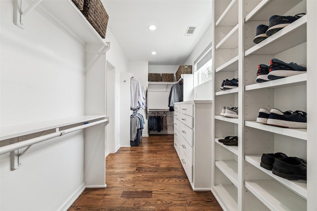 walk in closet featuring dark wood-type flooring