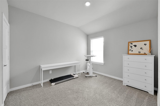 miscellaneous room featuring lofted ceiling and carpet flooring