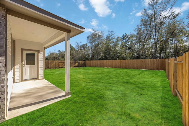 view of yard featuring a patio