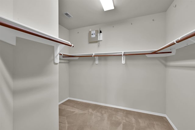 spacious closet featuring light colored carpet