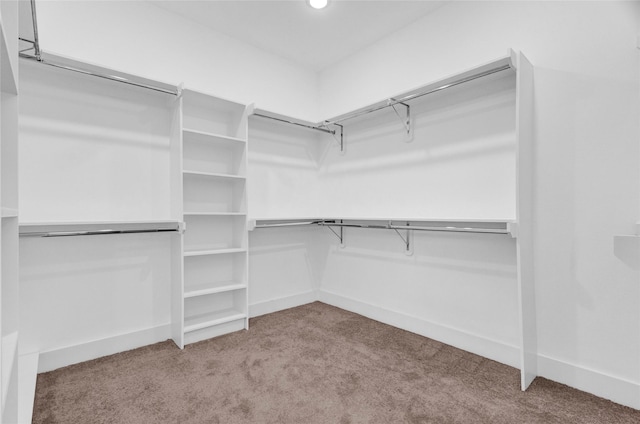 spacious closet with light carpet