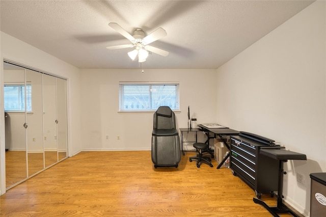 office area featuring a textured ceiling, a wealth of natural light, ceiling fan, and light wood-type flooring