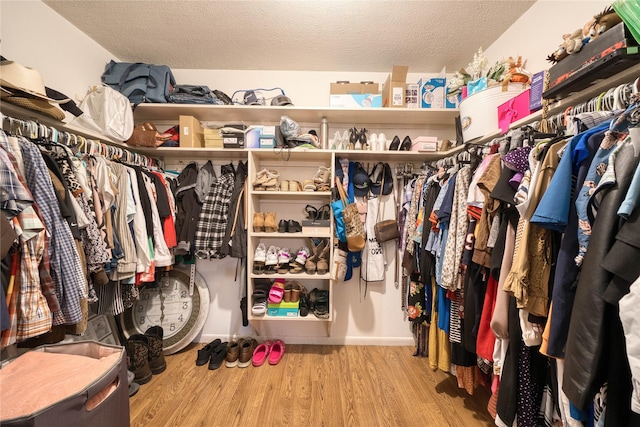 spacious closet with light wood-type flooring