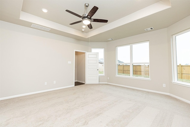 empty room featuring a wealth of natural light, light carpet, and a tray ceiling