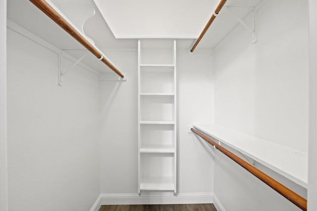 spacious closet with dark wood-type flooring