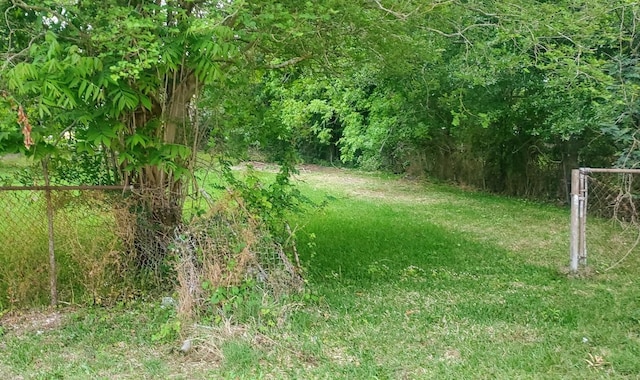 6221 Park Ave, Texas City, TX 77591 - photo 4