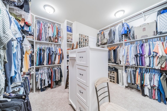 walk in closet with light colored carpet