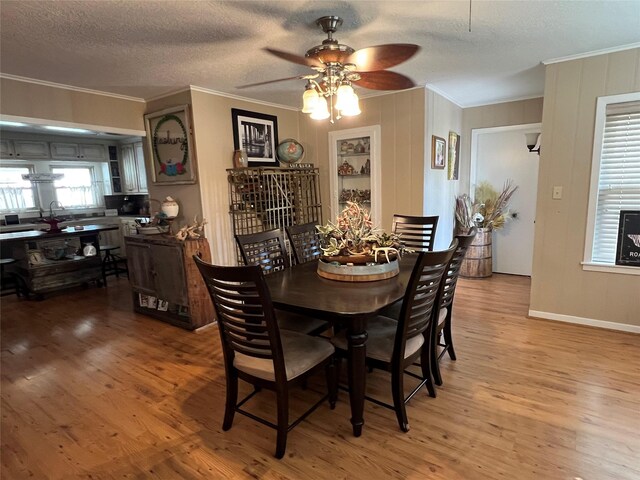 236 W Glenn St, Bellville, TX 77418 - photo 4