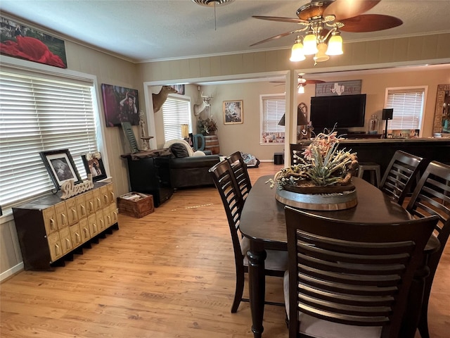 236 W Glenn St, Bellville, TX 77418 - photo 5