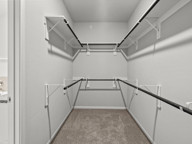 spacious closet with light colored carpet