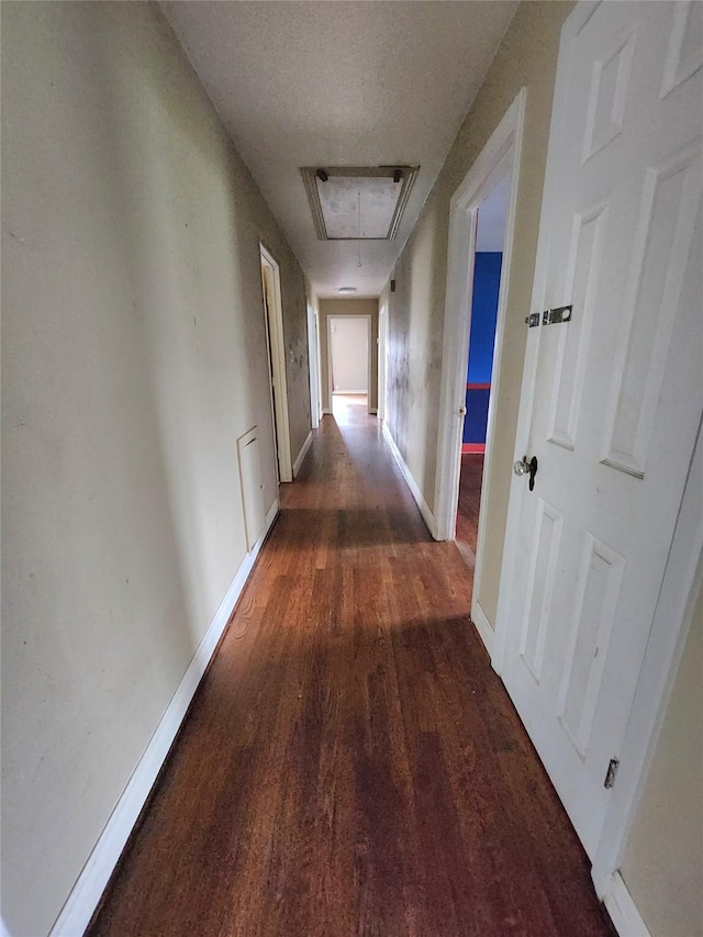 hall with dark hardwood / wood-style floors