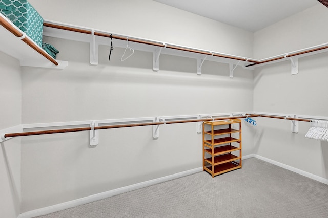 walk in closet featuring light colored carpet