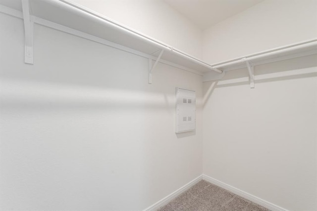 walk in closet with carpet floors