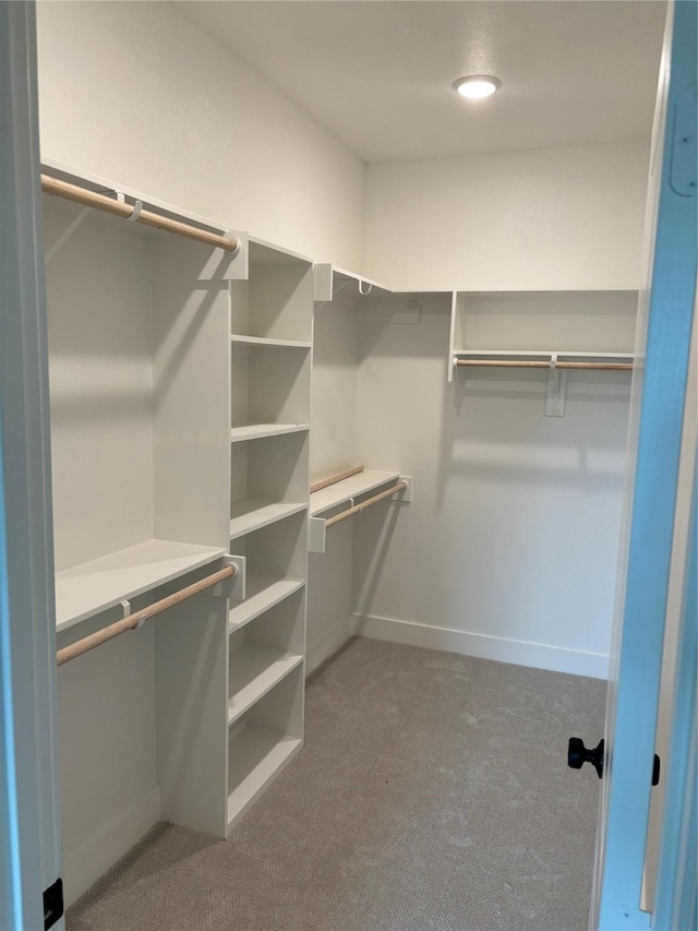 6104 T St, Katy, TX 77493 - walk in closet featuring carpet flooring