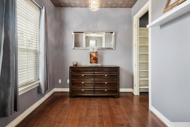 spacious closet with dark hardwood / wood-style floors