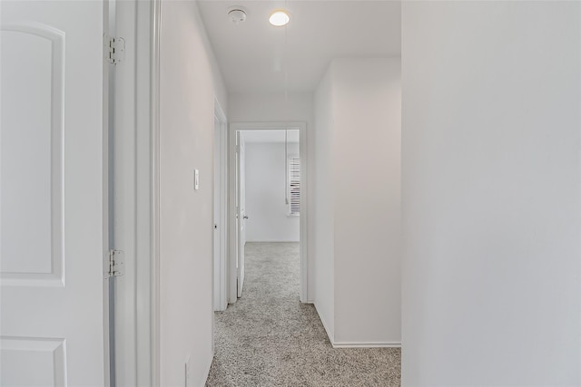 hall featuring light colored carpet