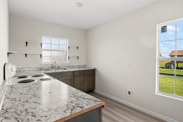 kitchen with sink, a wealth of natural light, light wood-type flooring, and white range with electric cooktop