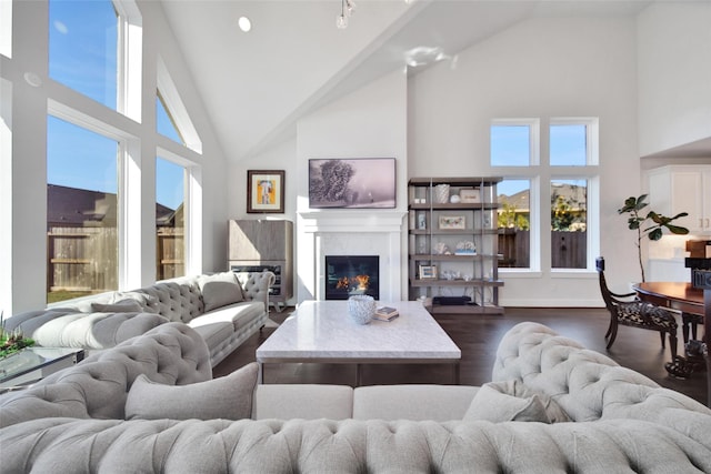 living room featuring baseboards, a premium fireplace, high vaulted ceiling, and dark wood-type flooring