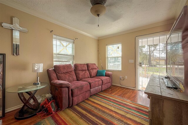 1814 Mansfield St, Houston, TX 77091 - living room featuring ornamental molding, dark hardwood / wood-style floors, a textured ceiling, and a wealth of natural light