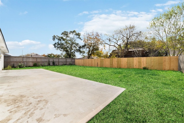 view of yard featuring a patio